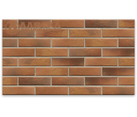 Фасадная Retro Brick Curry.25